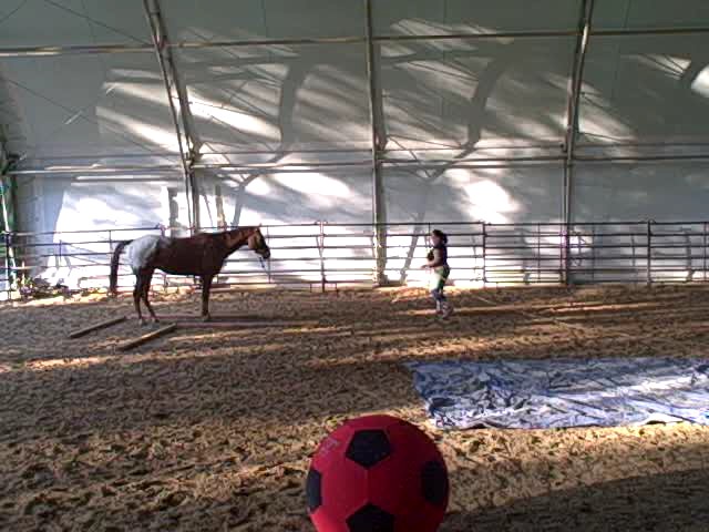 Backing through the poles