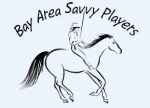 bay area logo