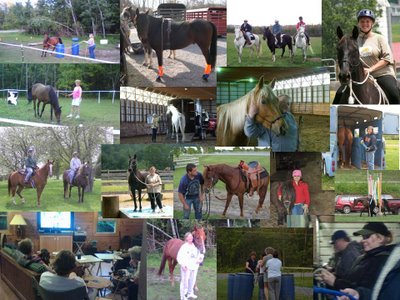 Collage-northcountry