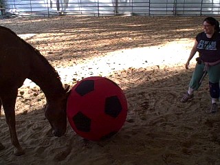 Rocky did initiate some ball