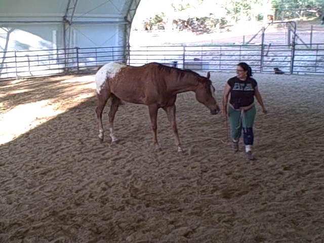 Rocky offers to stick to me