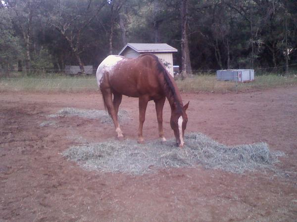 Rock can't wait to learn the new way to lead by the leg