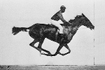 muybridge_race_horse_animated