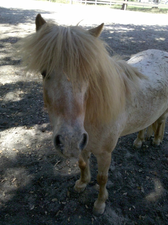 Salsa in the front arena