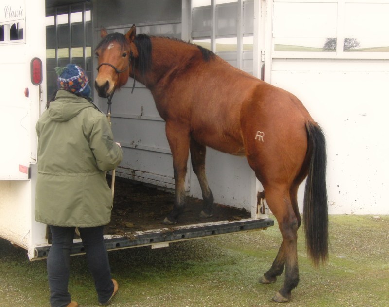 Trailer from pasture to playground