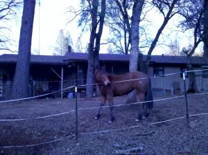 River exploring her new home