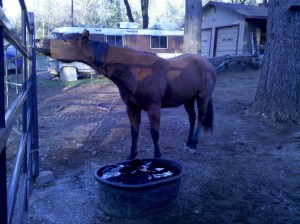River tasting our water for the first time