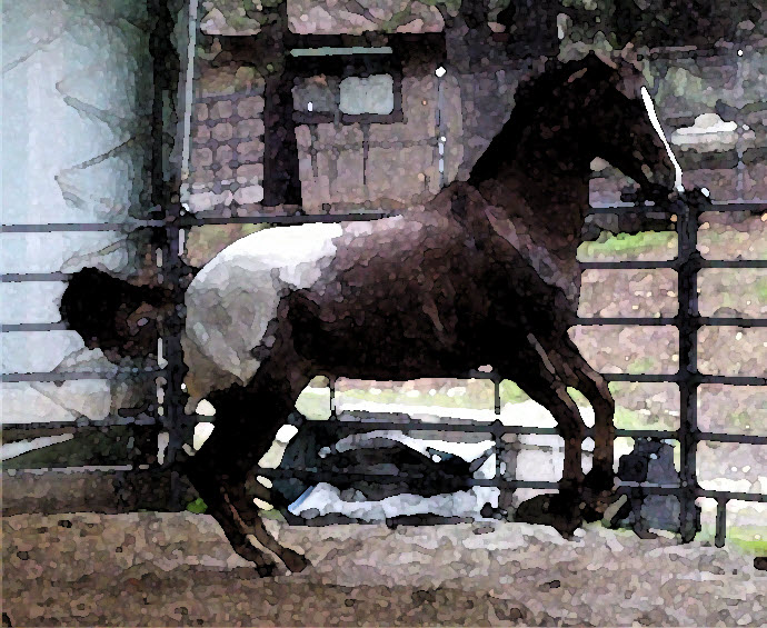 rocky_levade_watercrop