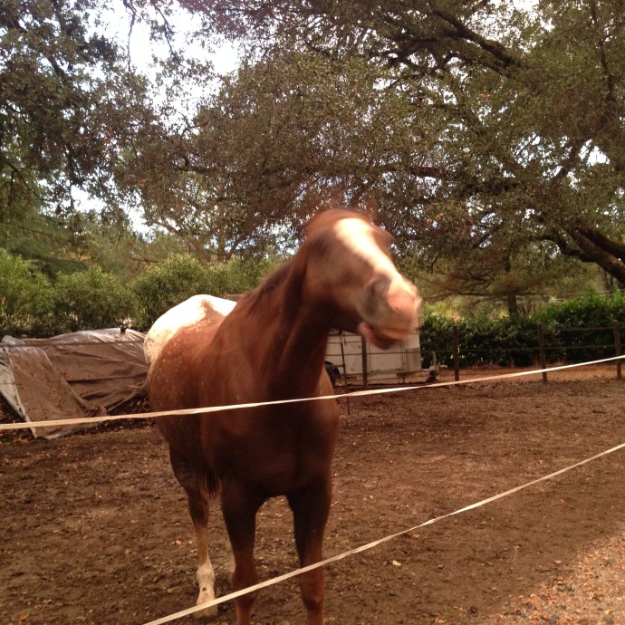 Rocky expresses his opinion