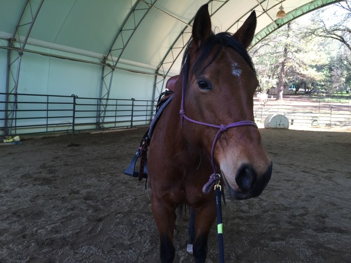River in Rocky's saddle