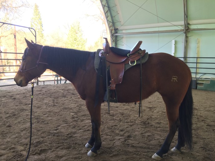 River in Rocky's saddle